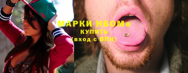 индика Алексин
