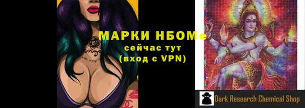 индика Алексин