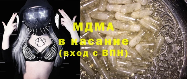 индика Алексин