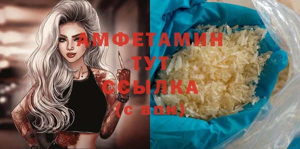 ECSTASY Алзамай