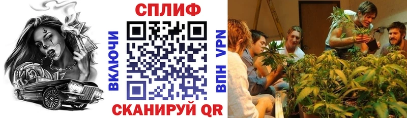 Марихуана индика Шелехов